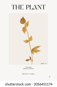 The plant. Autumn flower market poster. Herbarium