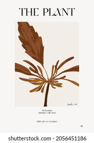 The plant. Autumn flower market poster. Herbarium