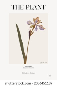 The plant. Autumn flower market poster. Herbarium