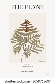 The plant. Autumn flower market poster. Herbarium