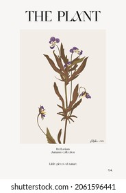 The plant. Autumn flower market poster. Herbarium