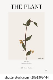 The plant. Autumn flower market poster. Herbarium