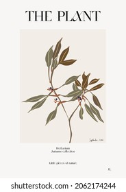 The plant. Autumn flower market poster. Herbarium