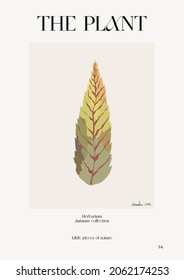 The plant. Autumn flower market poster. Herbarium