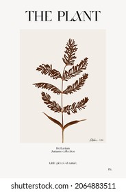 The plant. Autumn flower market poster. Herbarium