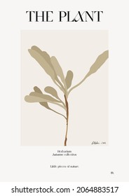 The plant. Autumn flower market poster. Herbarium