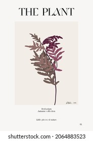 The plant. Autumn flower market poster. Herbarium