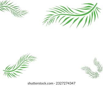 plant background, some leaf icon on white background