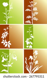Plant backgrounds