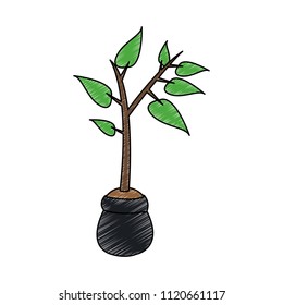 Plant in bag scribble