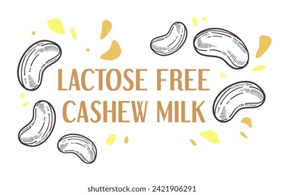 Plant based dairy free beverage for dieting and nutrition. Lactose free milk made from cashew nuts, source of protein and vitamins. Vegetarians and vegan meal and food sticker. Vector in flat style