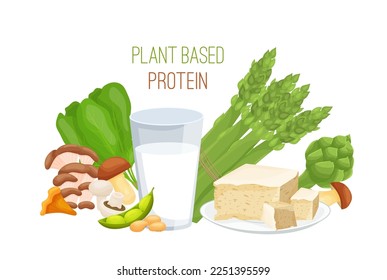 Plant based protein concept. Landscape poster. Horizontal composition. Graphic design. Editable vector illustration isolated on a transparent background.