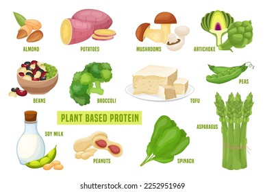 Plant based protein set. Vegetarian ingredients. Healthy natural vegan food. Graphic design. Editable vector illustration in cartoon style isolated on a white background.