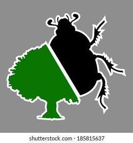 Plant and beetle