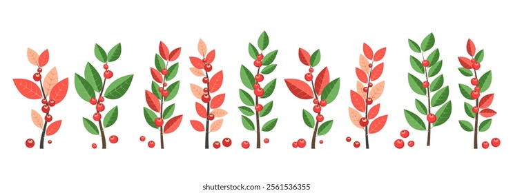 Plant berry icon, floral tree, branch leaves, mistletoe, foliage decor, red small berry isolated on white background. Christmas fruit set. Cartoon foliage vector illustration