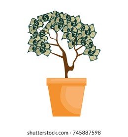 plant with bills dollars
