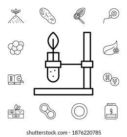 Icono de vector plano de la planta, biología, en paquete de biología