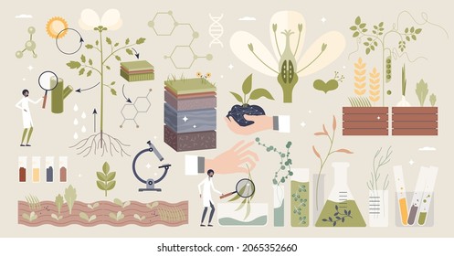 Plant Biology With Scientific Organic Research Tiny Person Collection Set. Elements With Nature Sprouts, Crops, Flowers And Seeds GMO Modification Or Laboratory Structure Research Vector Illustration.