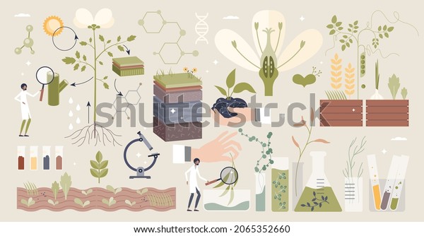 Plant biology with scientific organic\
research tiny person collection set. Elements with nature sprouts,\
crops, flowers and seeds GMO modification or laboratory structure\
research vector\
illustration.