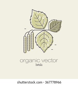 The plant birch. Vector illustration for cosmetics, medicine and cooking. Design for packaging, web, creation of goods and services. Modern style mono line.