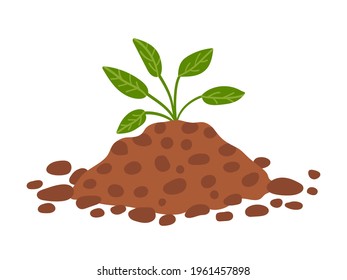 Plant in black ground. Grow up leafy plant isolated. Cartoon hand drawn spring seedling plant.