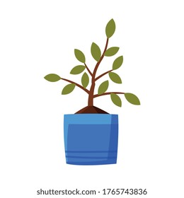 Plant in Blue Pot Flat Style Vector Illustration on White Background