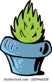 Planta en olla azul, ilustración, vector sobre fondo blanco