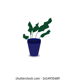 A plant in a blue pot. Vector. Flat cartoon style. Isolated on white background