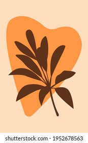 Fondo del patrón de boho de la planta. Dibujo de planta abstracta de boho para decoración de paredes de vivero de diseño, impresión de camisetas, volante de tienda, afiche contemporáneo, etc.