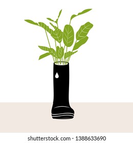 A plant in a boot. Simple vector style. Illustration icon for web. Garden site design. Cozy garden design.