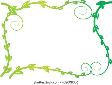 plant with border