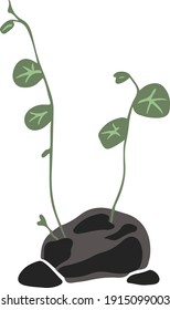 Plant botanical flowers stone illustration and vector art work colour style 
