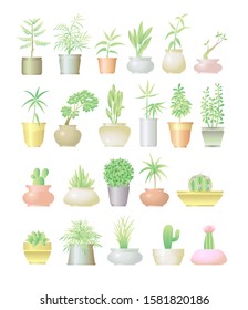 Plant botanical watercolor style set