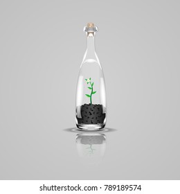 Plant in a bottle. Realistic vector illustration