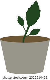 plant bowl for planting with leaves 