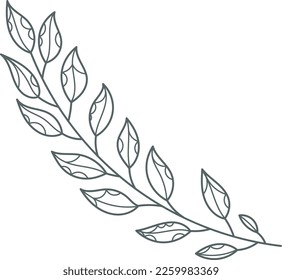 Plant branch. Decorative floral element. Natural botany