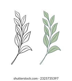 Plant branch with green leaves, line clip art and color flat illustration isolated on white background.