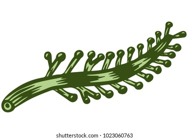plant branch icon