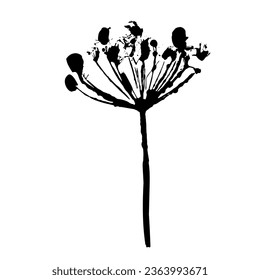 Plant branch imprint. Black silhouette of botanical element. Vector illustartion. 