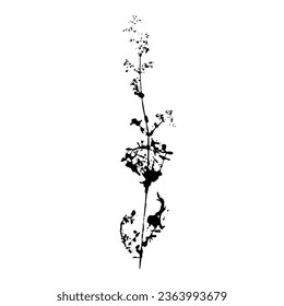 Plant branch imprint. Black silhouette of botanical element. Vector illustartion. 