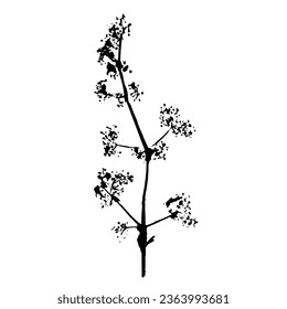 Plant branch imprint. Black silhouette of botanical element. Vector illustartion. 