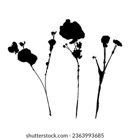 Plant branch imprint. Black silhouette of botanical element. Vector illustartion. 