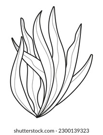 Plant branch, leaf doodle vector. Vintage hand drawn tree branches with leaves and flowers. Tree branches with leaf and flowers. Botanical line contemporary elements.