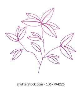 plant branch with leaves