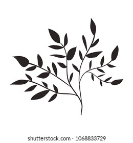 plant branch with leaves