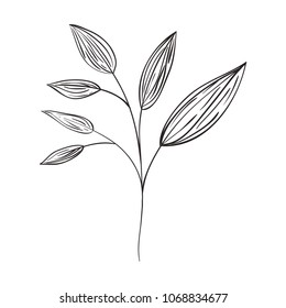 plant branch with leaves
