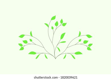 plant branch leaves  vector design illustration