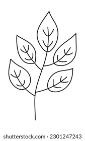 Plant branch line, leaf doodle vector. Vintage hand drawn tree branches with leaves and flowers. Tree branches with leaf and flowers.  Botanical line contemporary elements. 