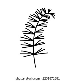 Plant branch silhouette vector icon. Hand drawn sprig of horsetail, rosemary. Sketch of wild medicinal herb. Meadow or garden flower isolated on white background. Clipart for cards, posters, packaging