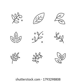 Icono de línea delgada simple de rama, ilustración vectorial